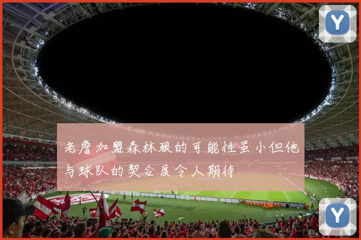 老詹加盟森林狼的可能性虽小但他与球队的契合度令人期待